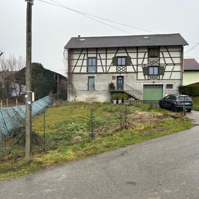 Ravalement de fa&ccedil;ade maison Alsacienne Saint-Louis 2