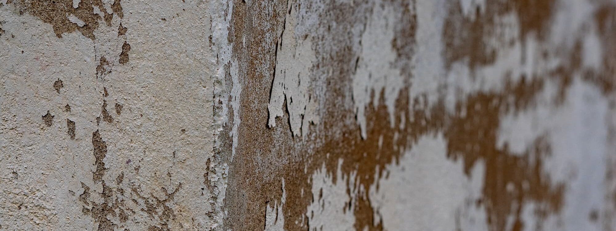 HUMIDITE_FACADE 2000X750 | Isol Paint Comment réparer les dégâts dus à l’humidité dans la façade avant ravalement ? Colmar