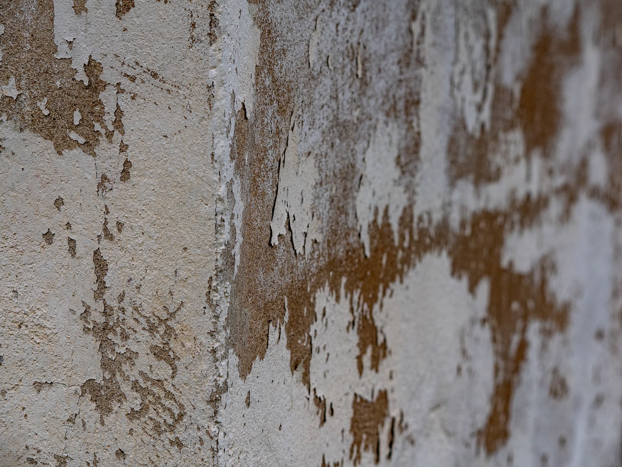 HUMIDITE_FACADE | Isol Paint Comment réparer les dégâts dus à l’humidité dans la façade avant ravalement ? Colmar